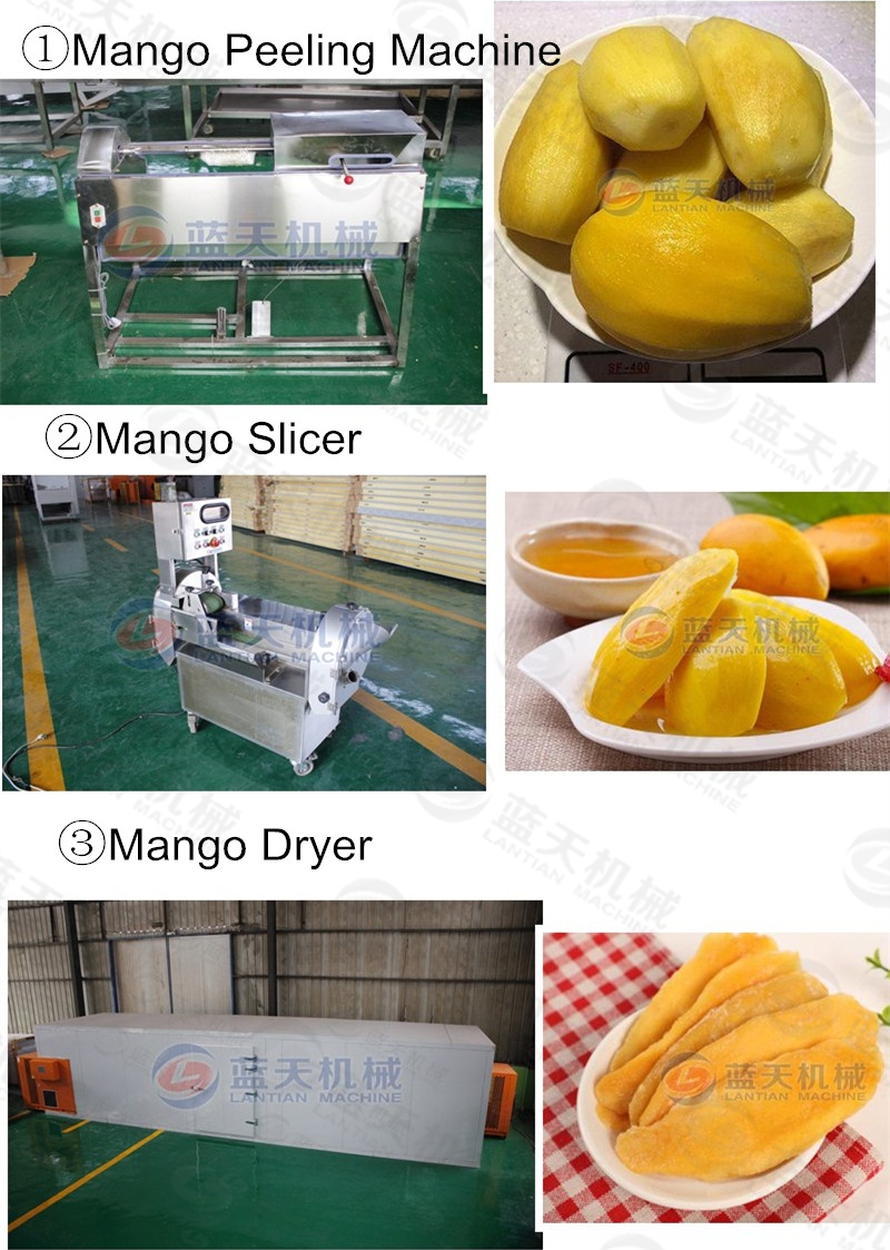 mango peeling machine support equipment