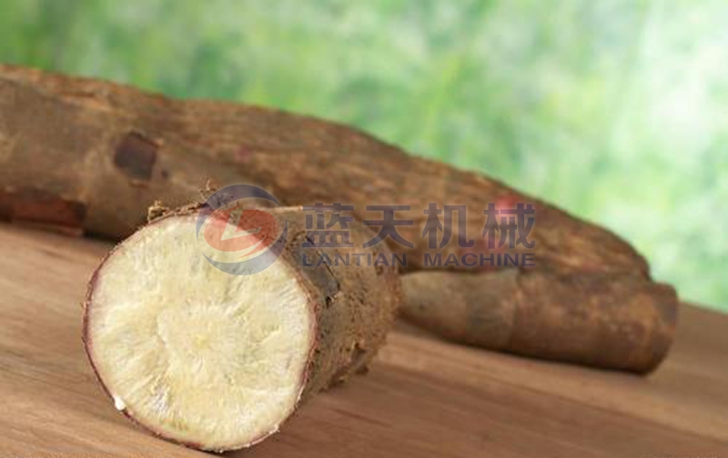 cassava before peeling