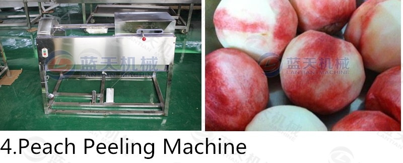 peach peeling machine support equipment