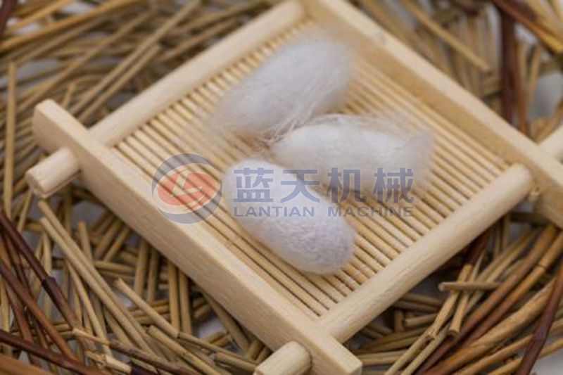 Silkworm cocoon dryer drying effect