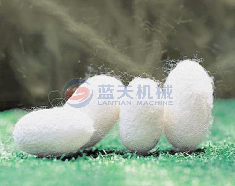 Silkworm cocoon dryer drying effect