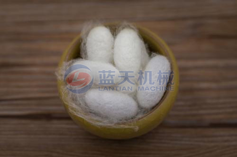 Silkworm cocoon dryer drying effect