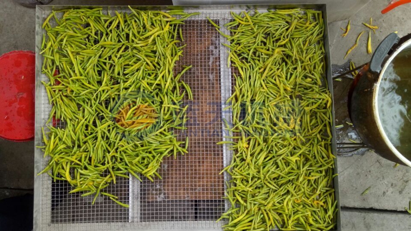 Daylily drying site