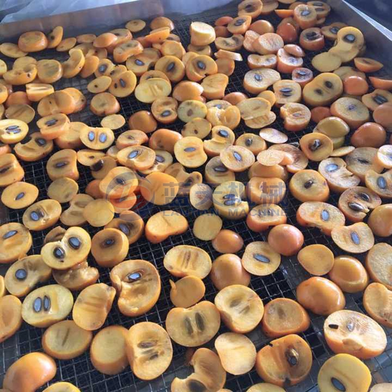 China Apricot Drying Scene