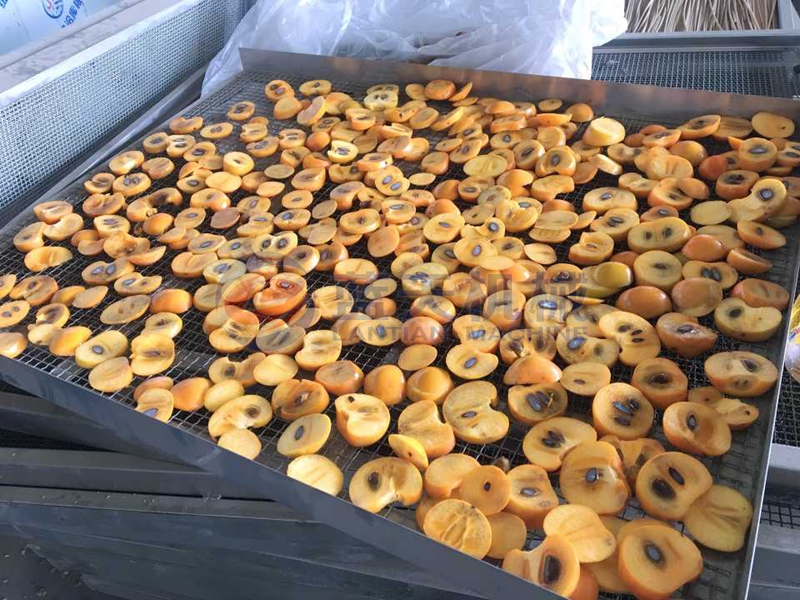 China Apricot Drying Scene