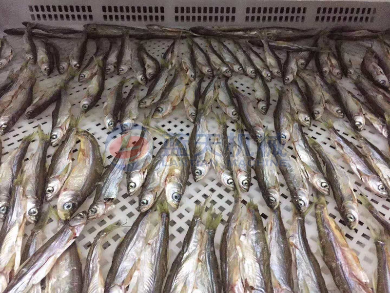 Malaysian Fish Drying Scene
