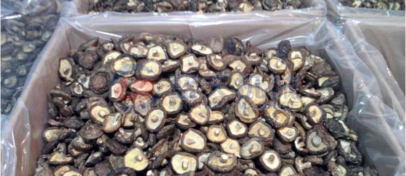 Philippine Mushroom Drying Scene