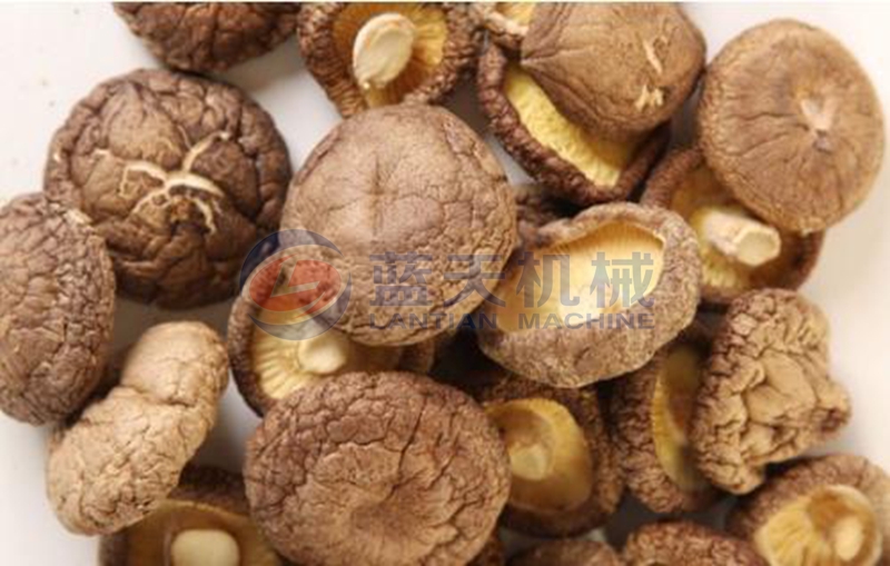 Mushroom Drying Process