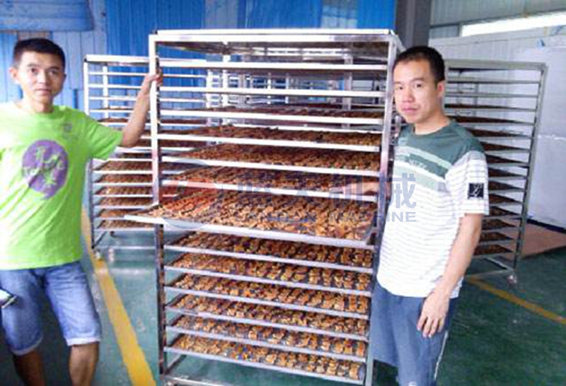 fig drying process