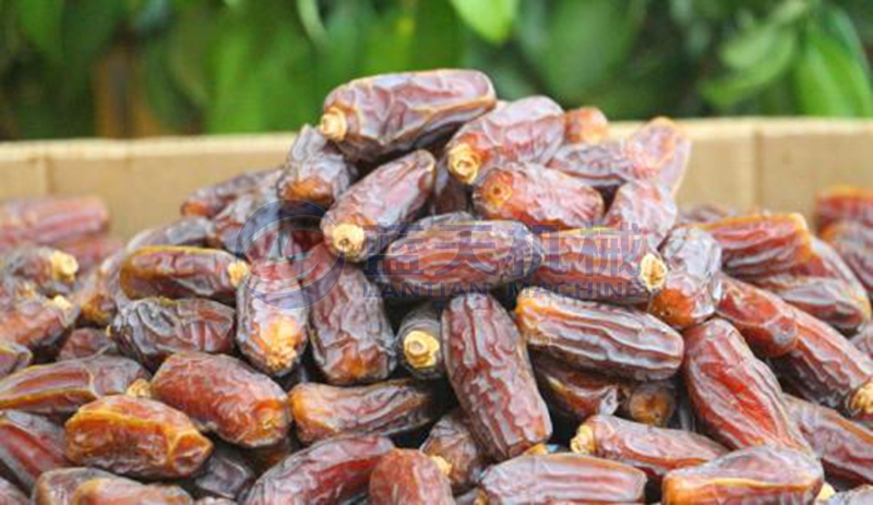 Date drying process